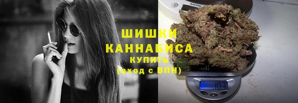 бошки Горняк