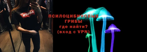 стаф Ивантеевка