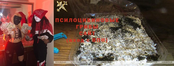 бошки Горняк