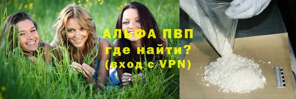 твердый Чегем