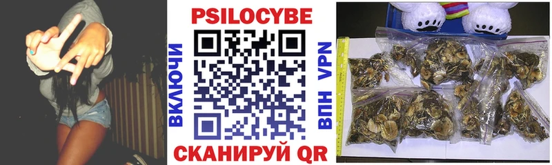 где купить наркоту  Медногорск  Галлюциногенные грибы GOLDEN TEACHER 