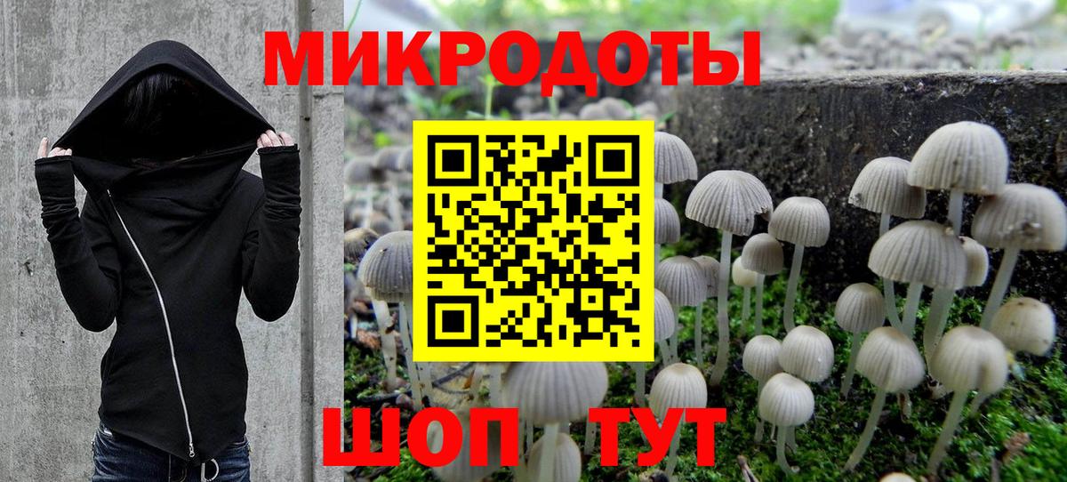 Псилоцибиновые грибы Psilocybe  Псилоцибиновые грибы GOLDEN TEACHER  Вход с VPN  наркота  Медногорск 