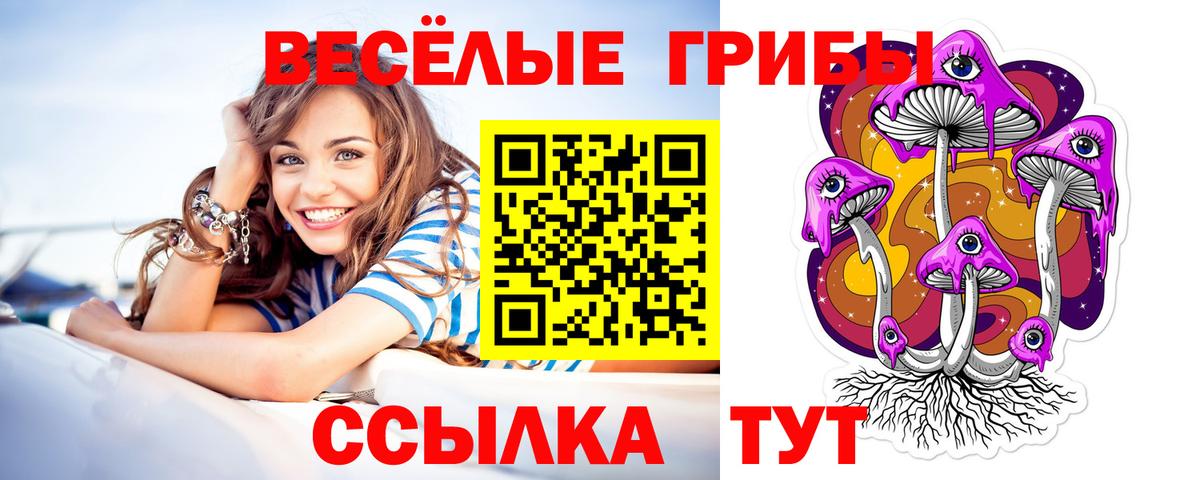 Галлюциногенные грибы Psilocybe Медногорск